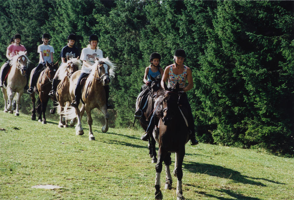 Sportgasthof Lipp Lederwinkel Εξωτερικό φωτογραφία